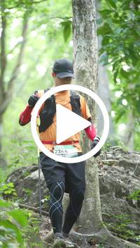 BIB:  <button type="button" onclick="openModal(27934424)" class="btn btn-primary btn-sm float-right" data-toggle="modal" data-target=".modal-high-quality">
                <i class="fa fa-download"></i> Download
                </button>